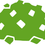 storm debris fallen branches