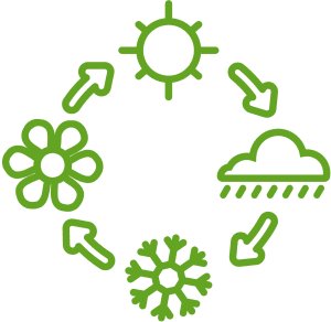 seasonal lawn cleanup by TR Lawn and Tree