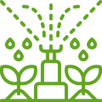 irrigation system watering trees and plants