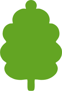 ornamental tree pruning