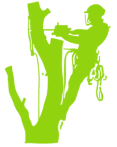 TR Lawn and Tree logo icon