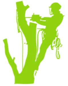 TR Lawn and Tree logo icon