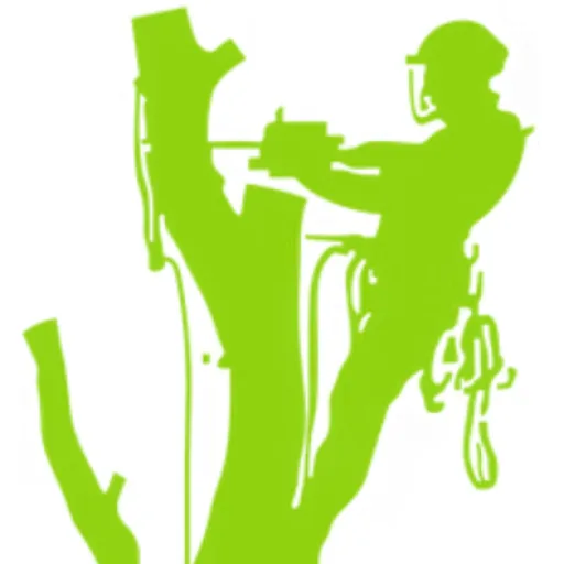 TR Lawn and Tree logo icon