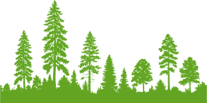 tree disease control and identification