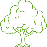 large healthy tree icon