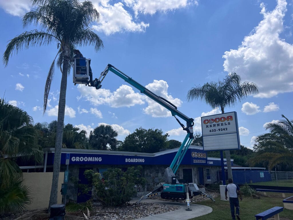 TR 62ft Imer boom lift extended into a tree