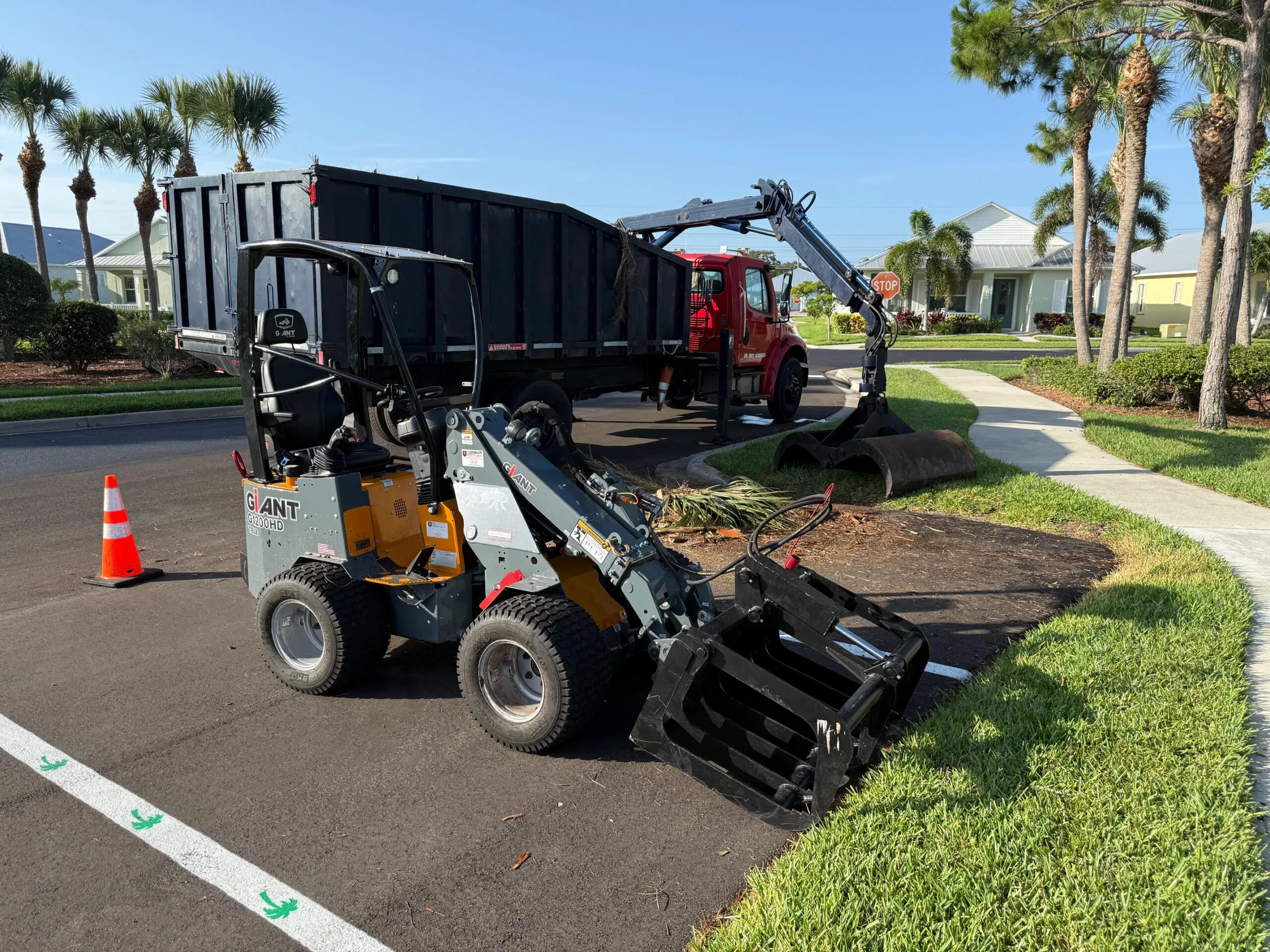 TR Lawn and Tree giant mini loader