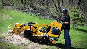 TR Lawn and Tree Stump Grinder