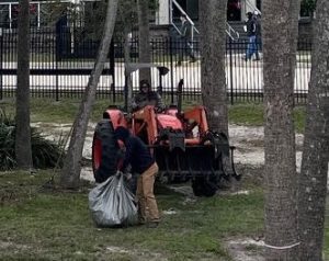 TR Lawn and Tree Tractor