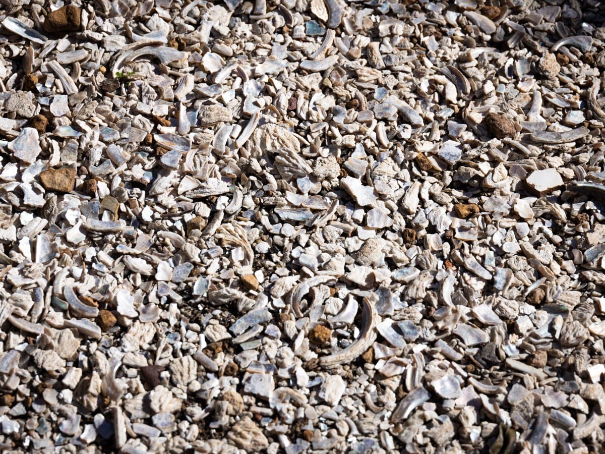 Close detail of angular crushed stone packed into a driveway surface