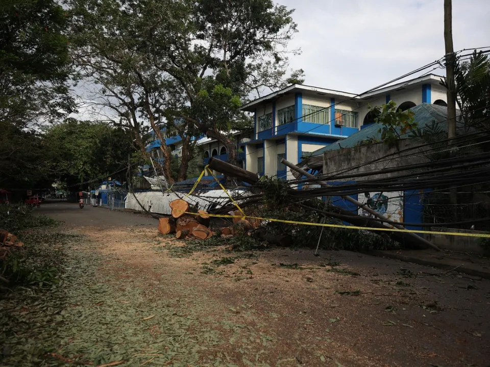 Storm debris and a downed tree along a residential street