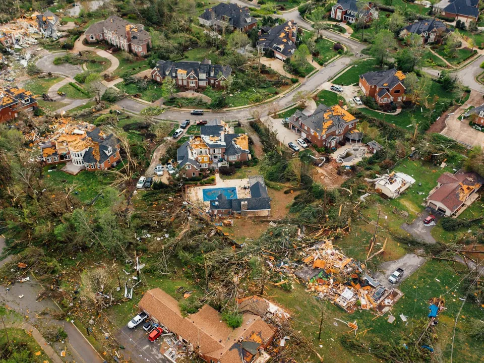 Several trees blown down across a lot after a storm