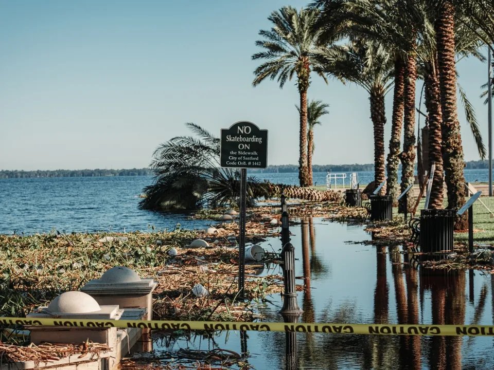 Palm blown down across a waterfront road after a storm