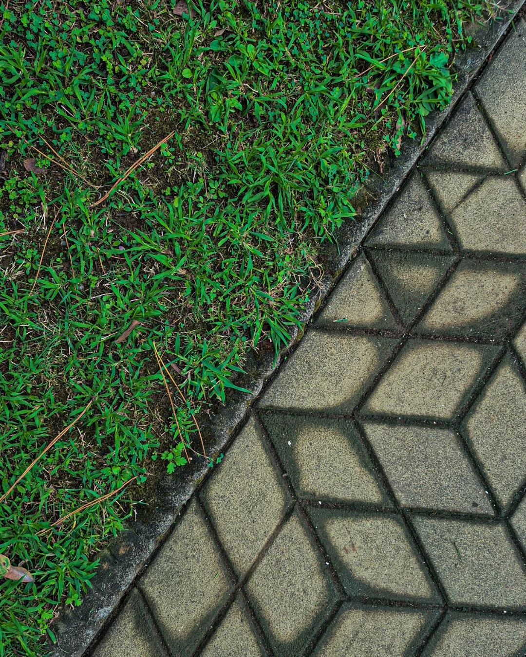 Clean cut edge where turf meets a concrete walkway