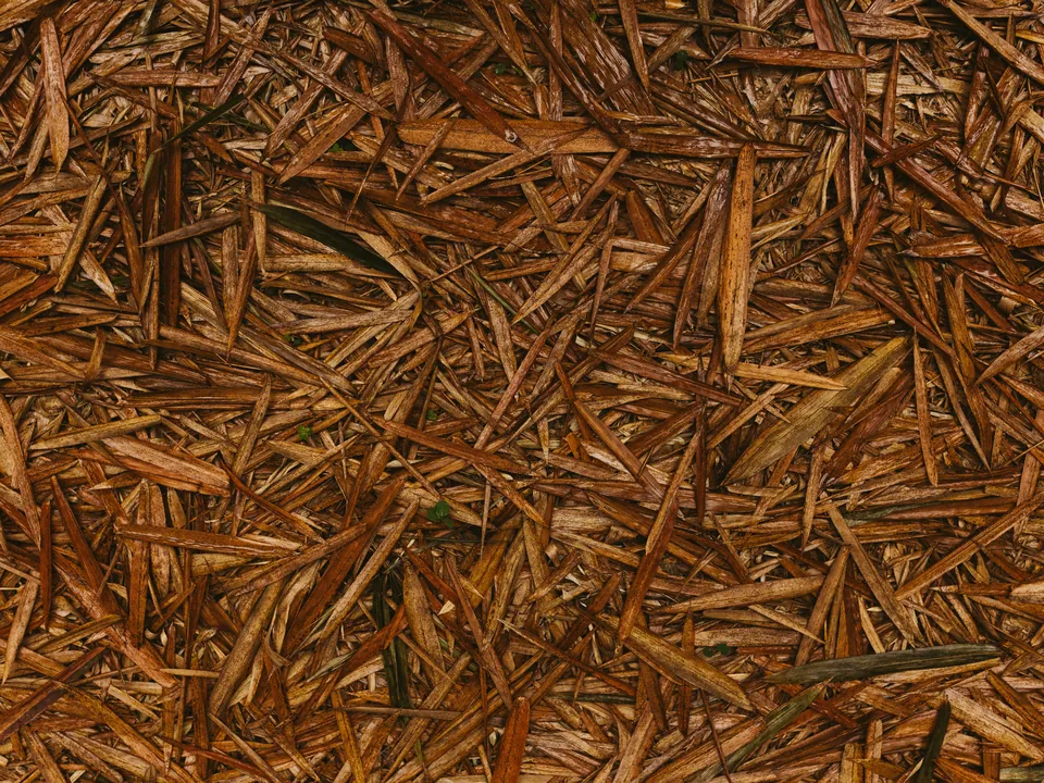 Fresh wood mulch
