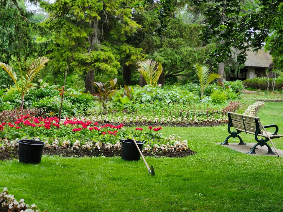Overgrown planting bed before cleanup
