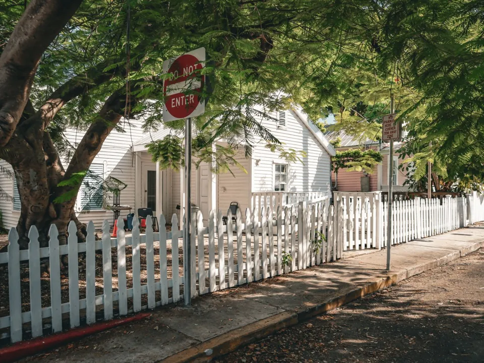 Large tree over a house and fence on a narrow lot