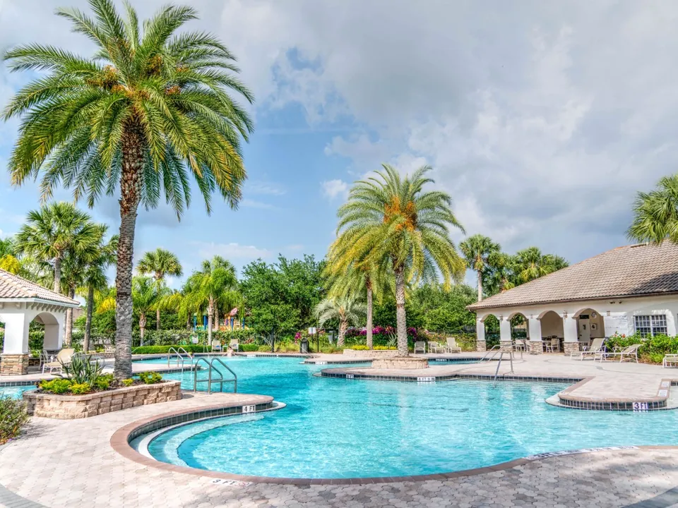Palms and trees around a Florida pool