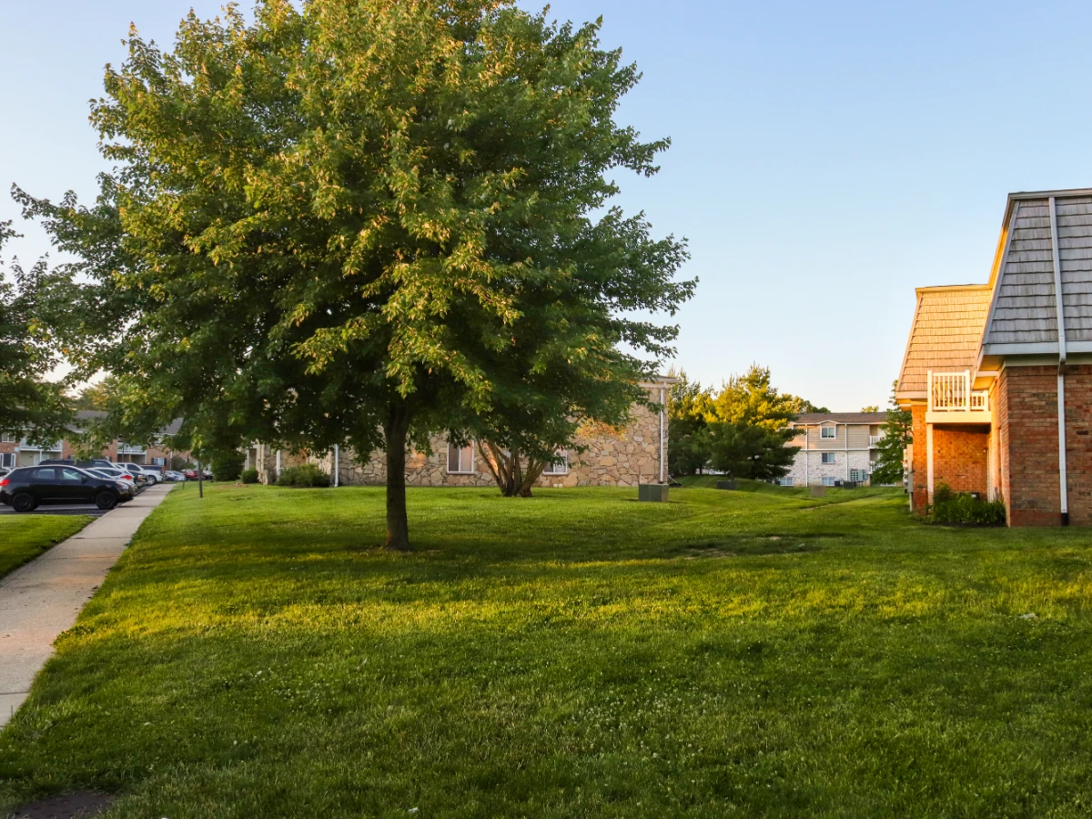 Open mown common area turf in a residential community