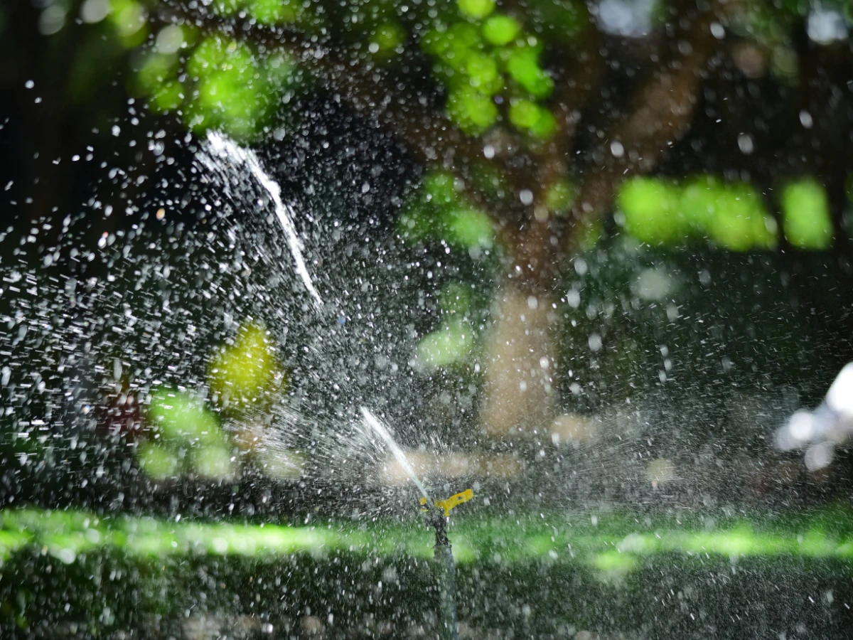 Irrigation head spraying across a green lawn
