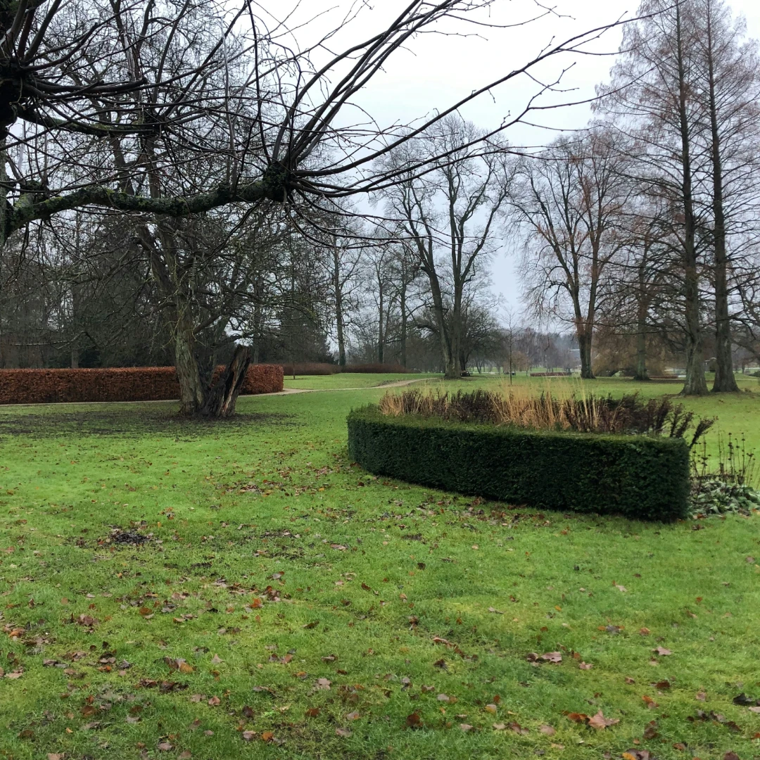 A well kept expanse of common area turf with clipped shrub lines at the edges