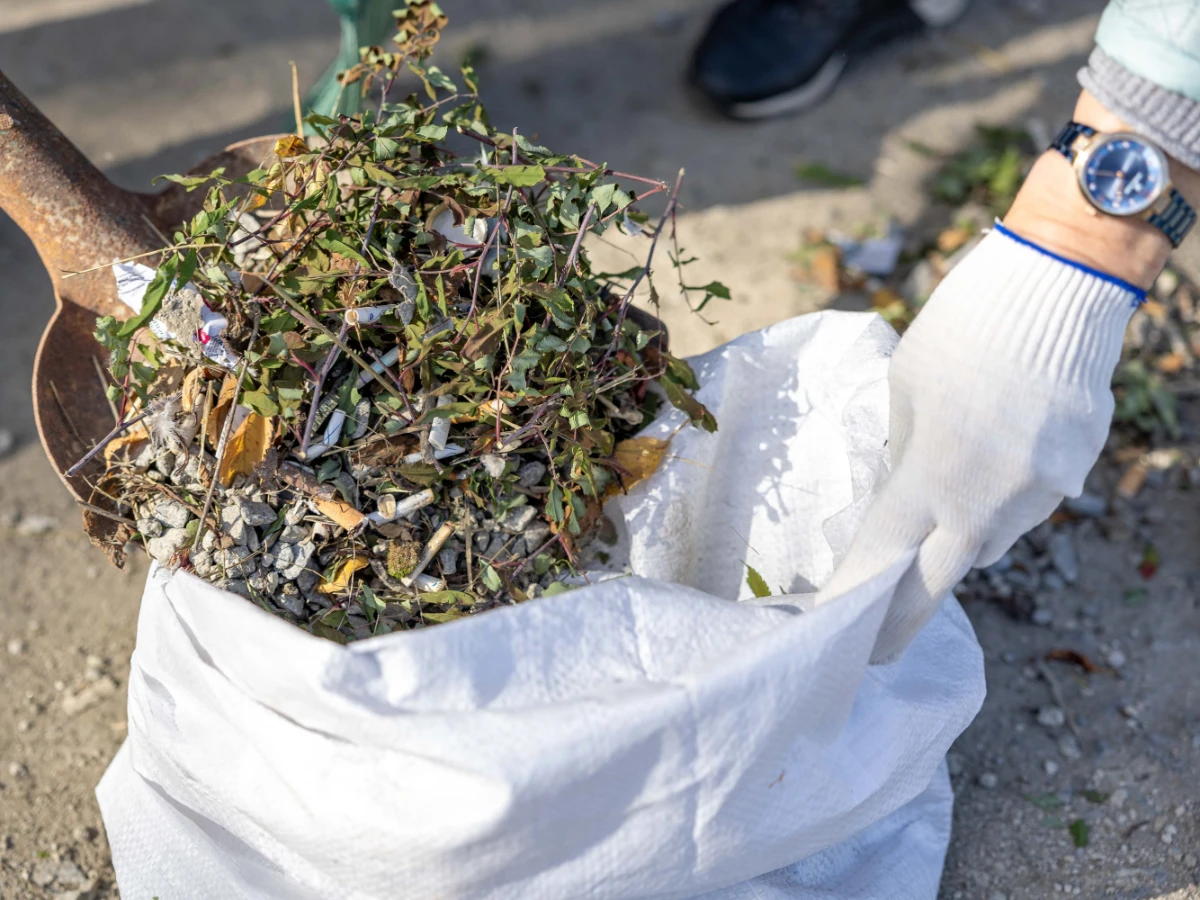 Leaf and frond debris collected from a lawn for removal