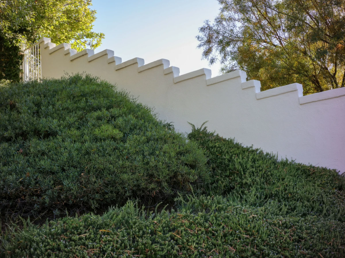 Clipped shrub line running along a community wall