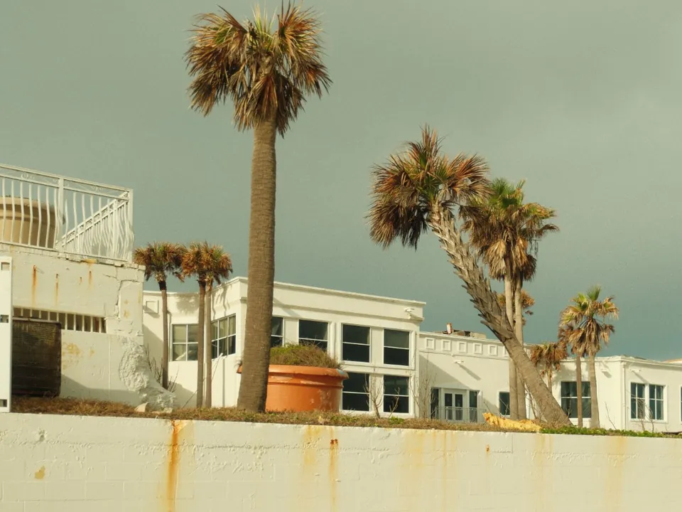Palms beside a weathered building