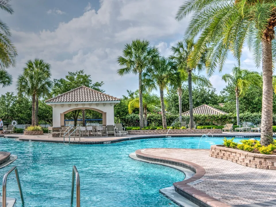 Palm leaning over a screened pool enclosure