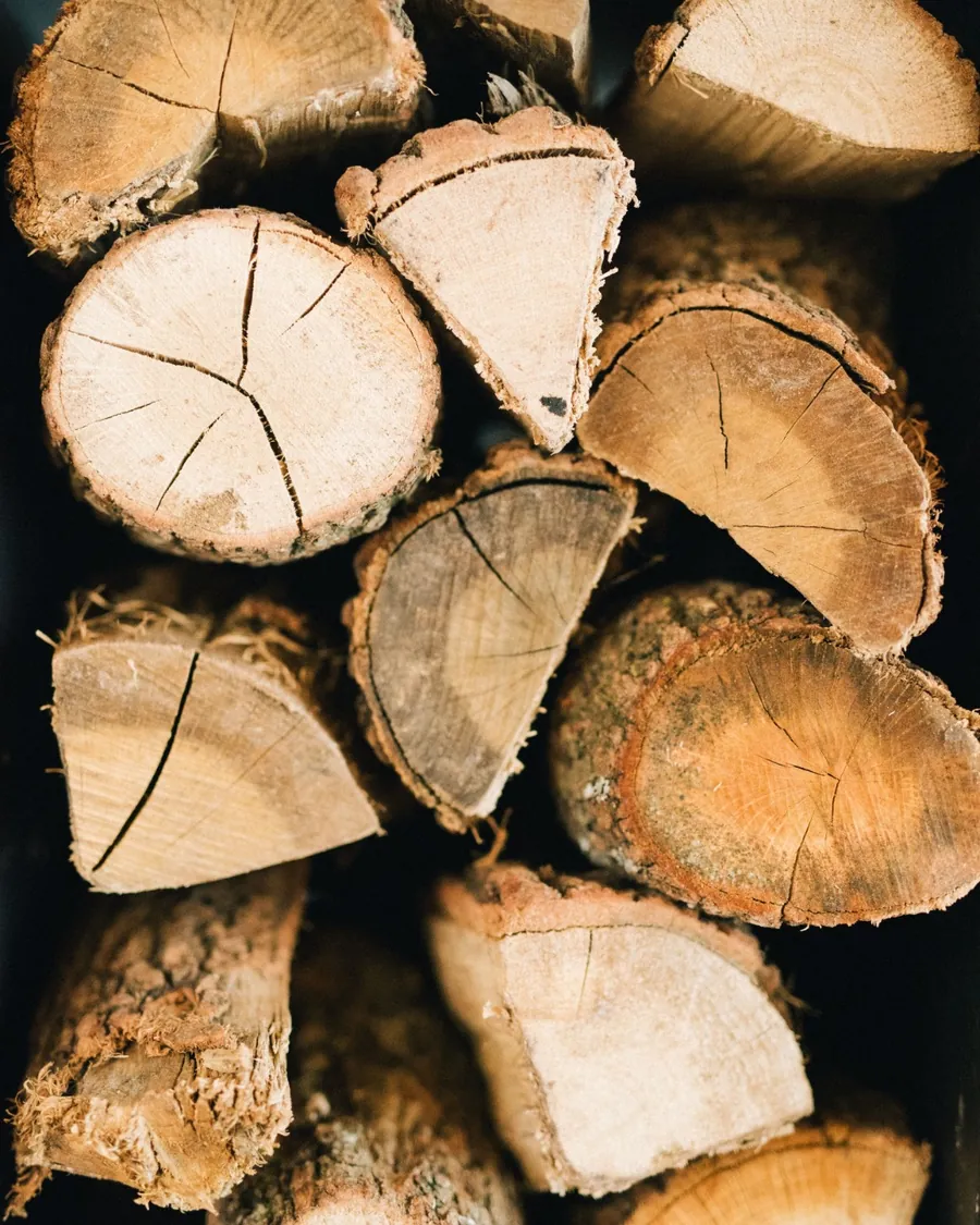 Cut trunk sections stacked after a removal