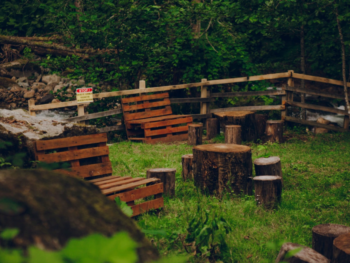 Tree stump sitting close against a wooden fence line