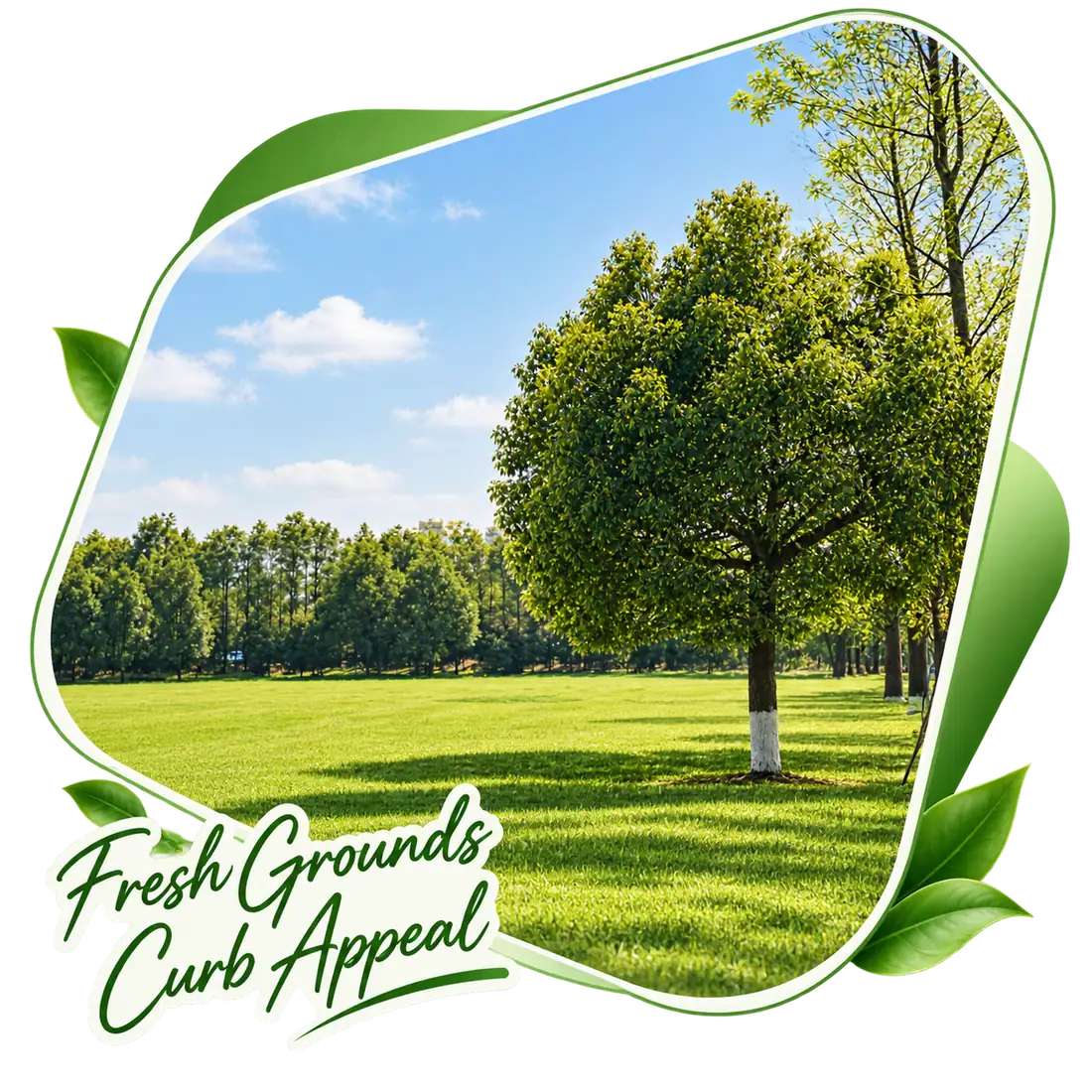 Young tree on a fresh lawn, captioned Fresh Grounds, Curb Appeal