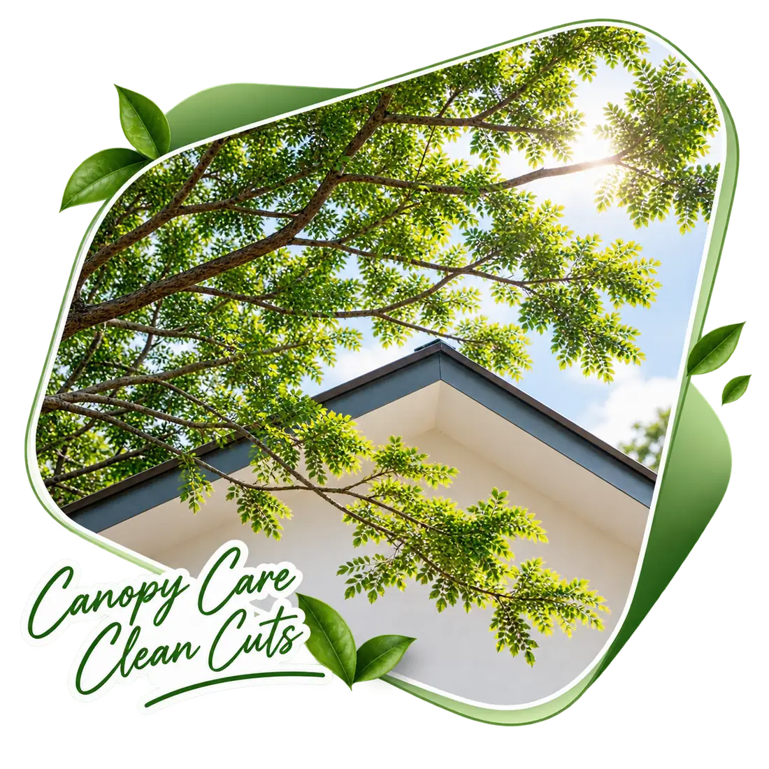 Sunlit canopy over a roof corner, captioned Canopy Care, Clean Cuts
