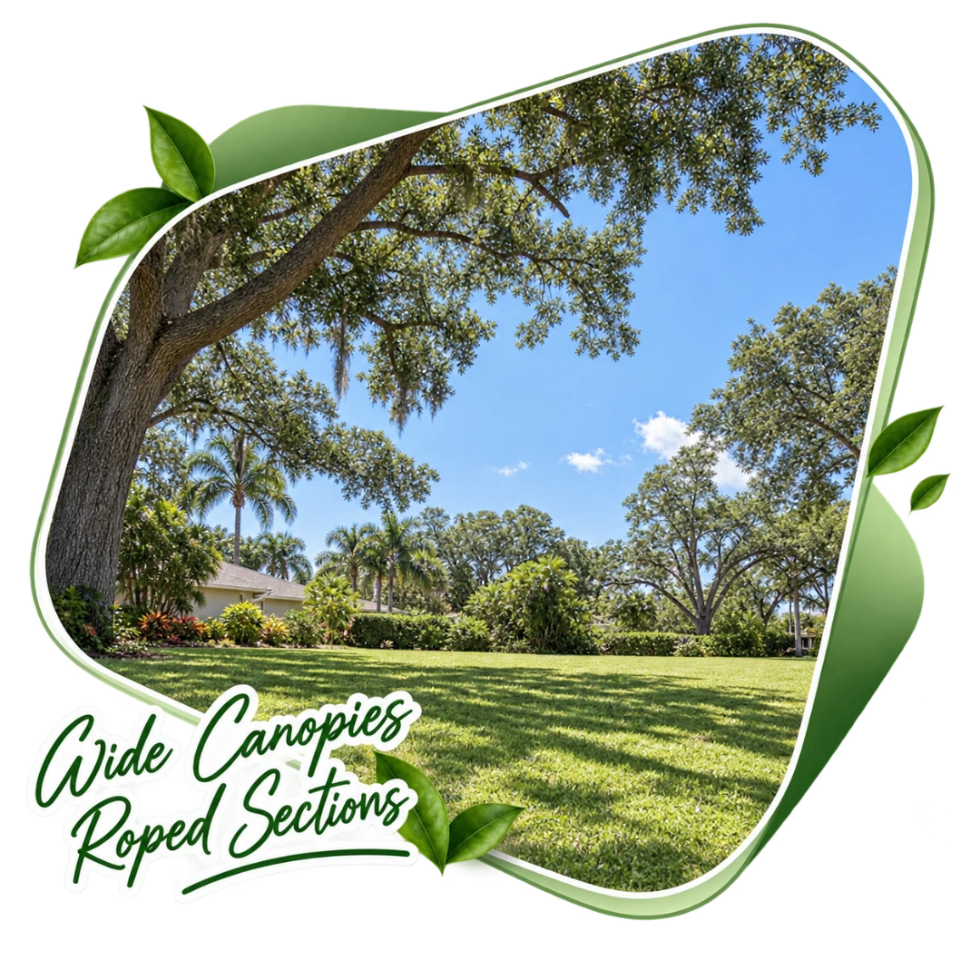 Tree Removal in Rockledge, FL by TR Lawn and Tree
