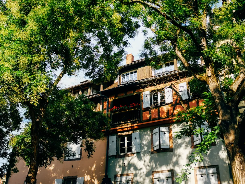 Tree limbs reaching over the front of a building