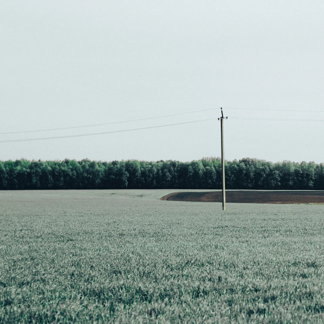 An open grassy acre with a clean treeline at the far boundary and nothing standing in the middle