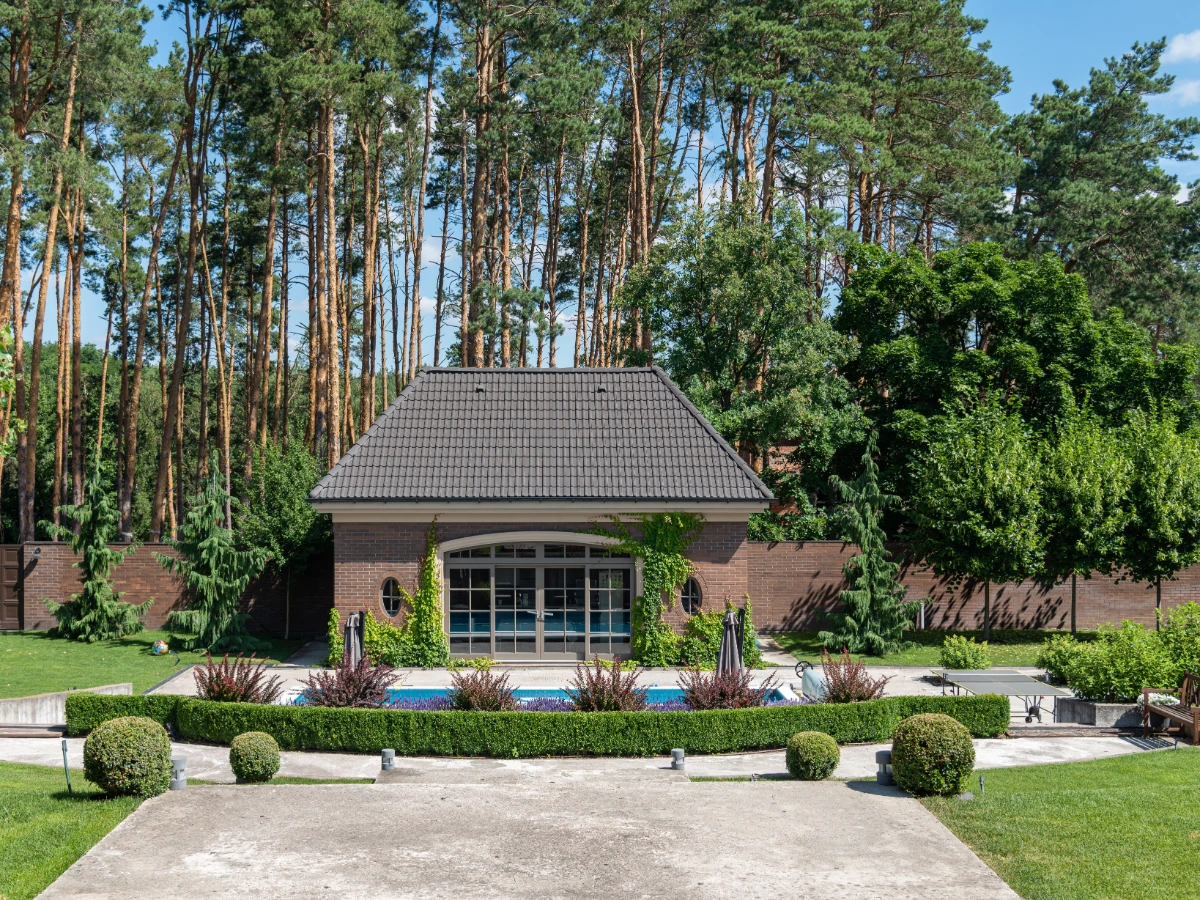 Tall pine standing beside a screened pool enclosure