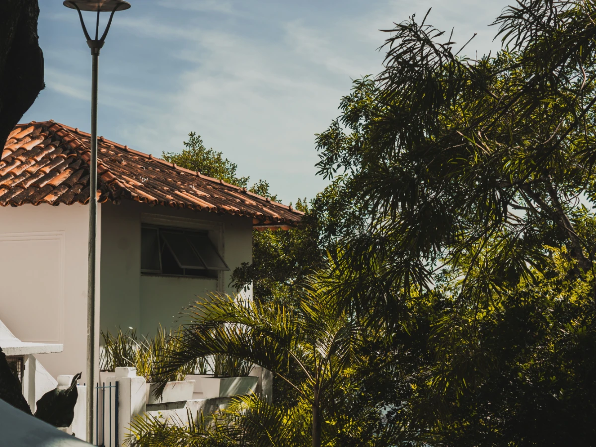 Tree canopy reaching over the flat roof of a beachside home
