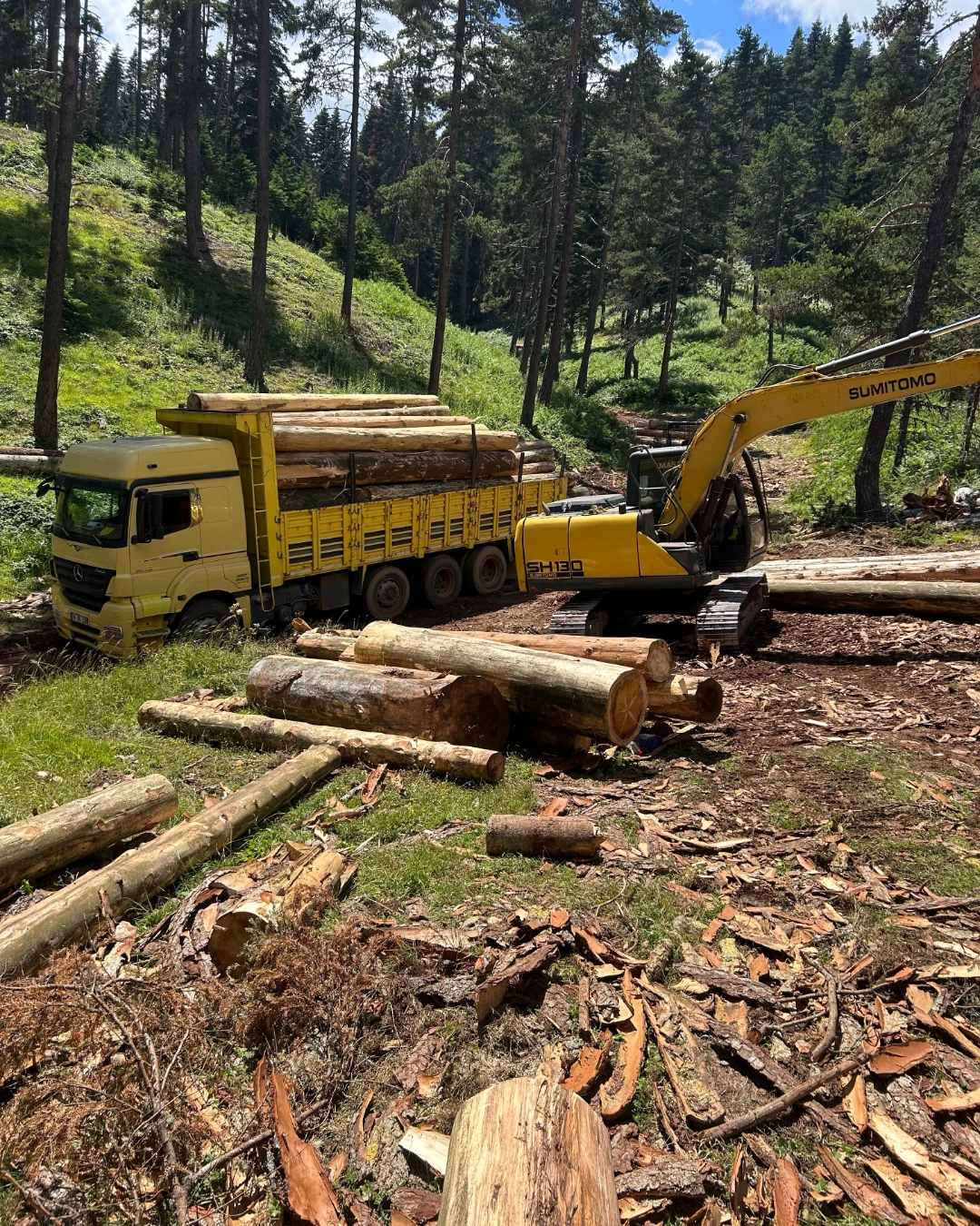 Grapple loading cut trunk lengths onto a truck bed