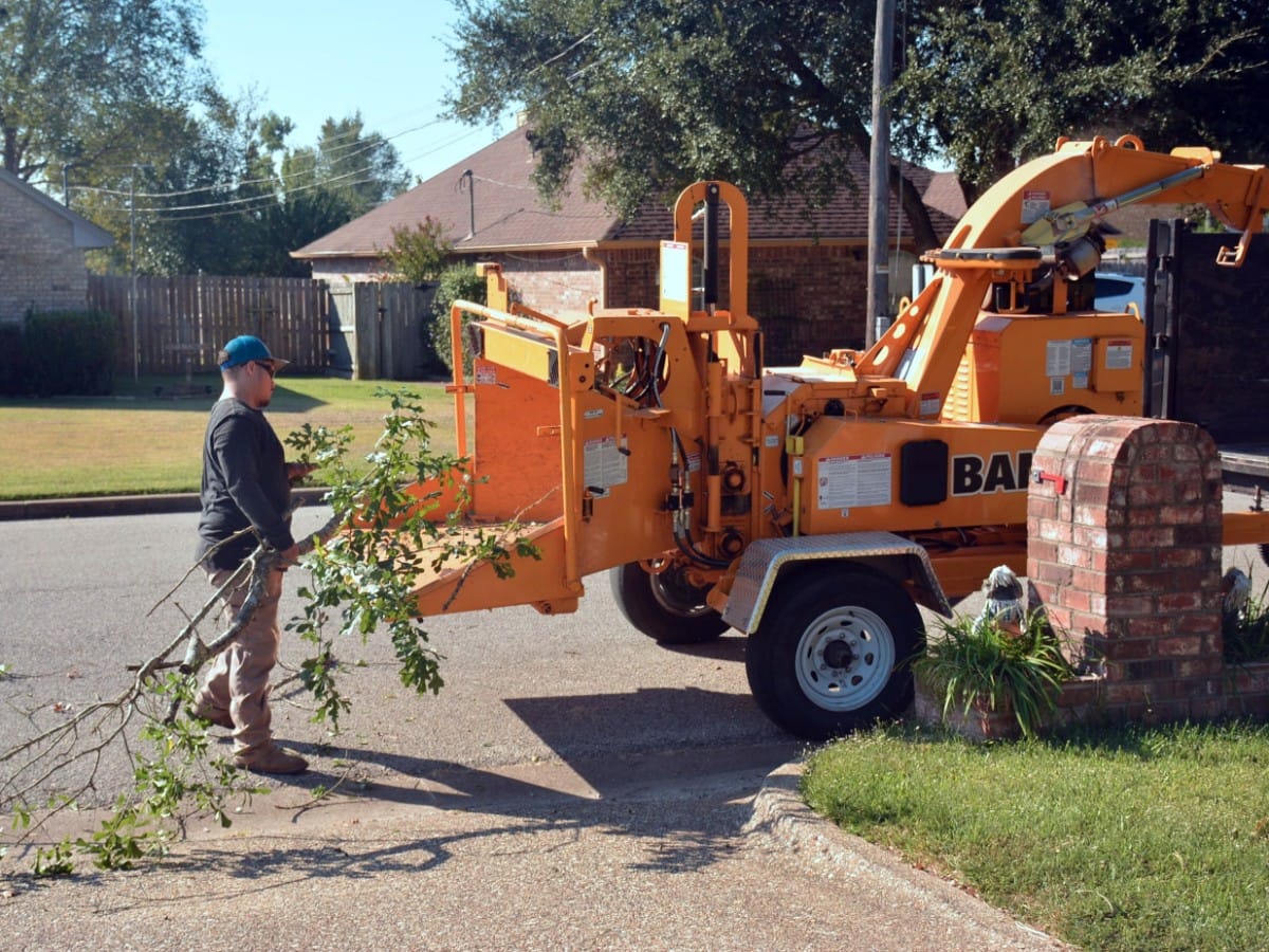 Crew member feeding limbs into a brush chipper at the curb