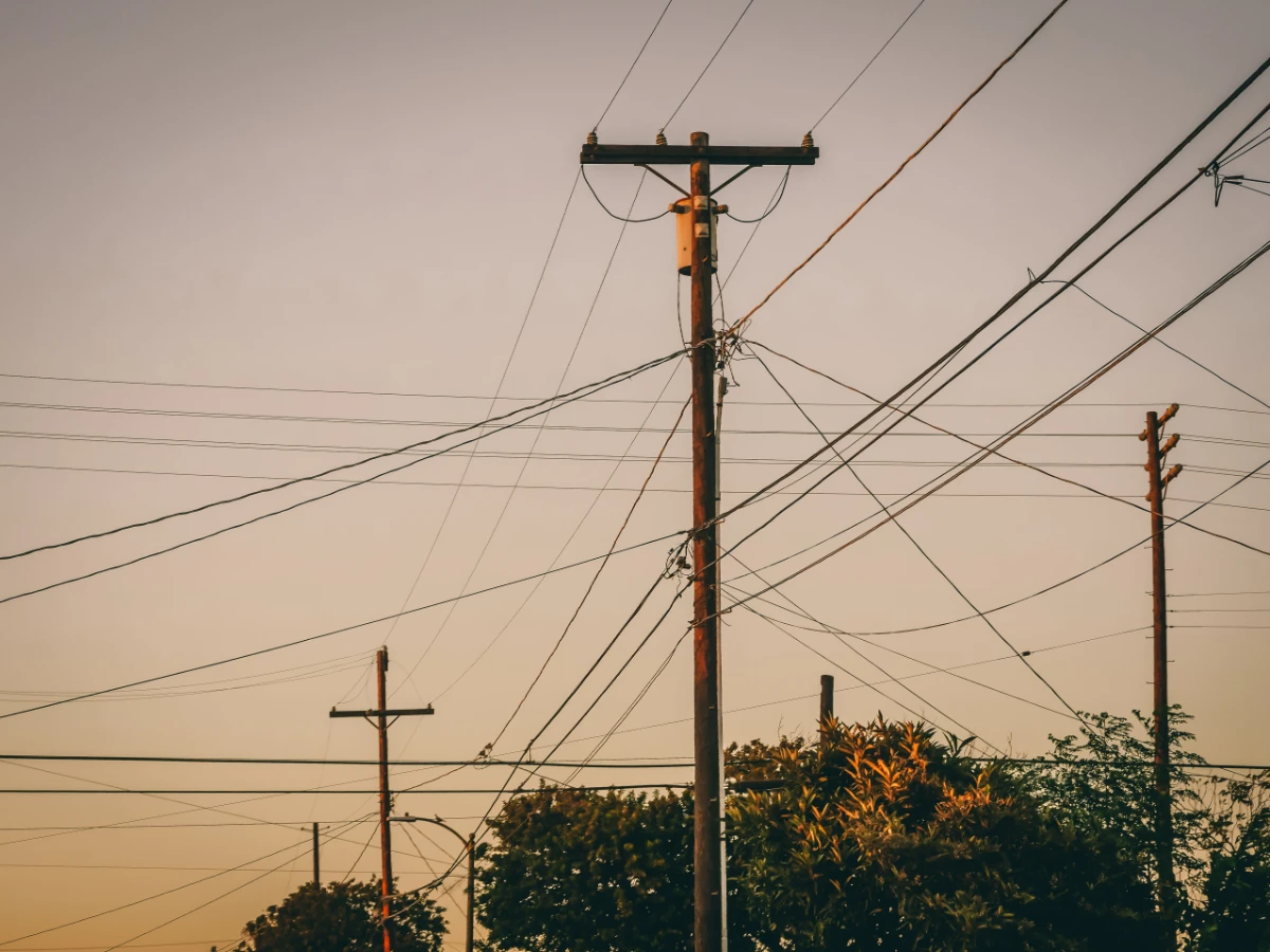 Utility poles and overhead distribution lines above a row of trees at dusk