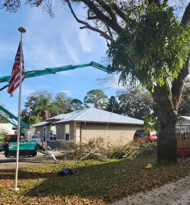 Boom lift trimming an oak while cut limbs collect in a pile on the lawn