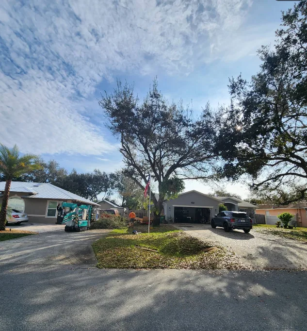 TR Lawn and Tree boom lift parked on a driveway with the bucket in a front-yard oak